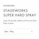 Original Shiseido Professional Stageworks Super Hard Spray 180G